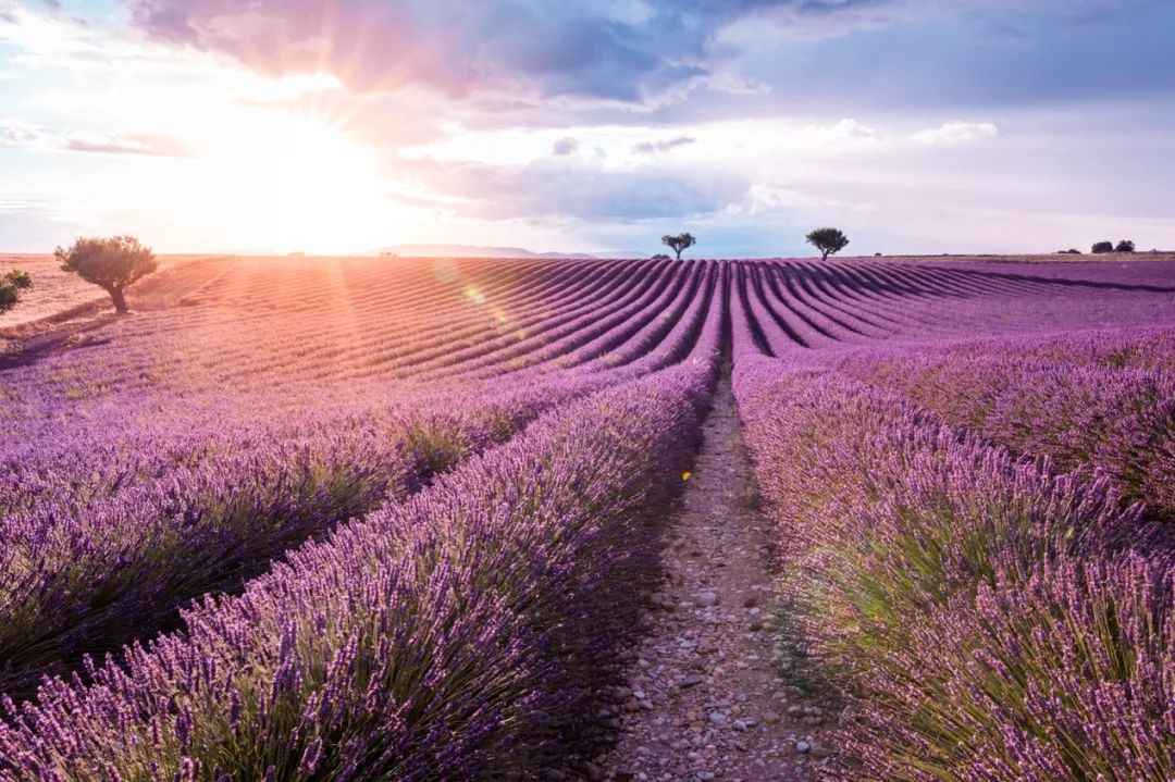 Discover the Best Time to Visit the French Riviera: Embrace the Most Beautiful Blooming Season in So